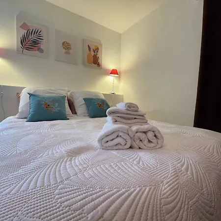 Daire Spacieux Dans Maison Bourgeoise Avec Grande Terrasse Et Jardin Privatif Ombrage, A 10 Min A Pied Du Centre-ville *